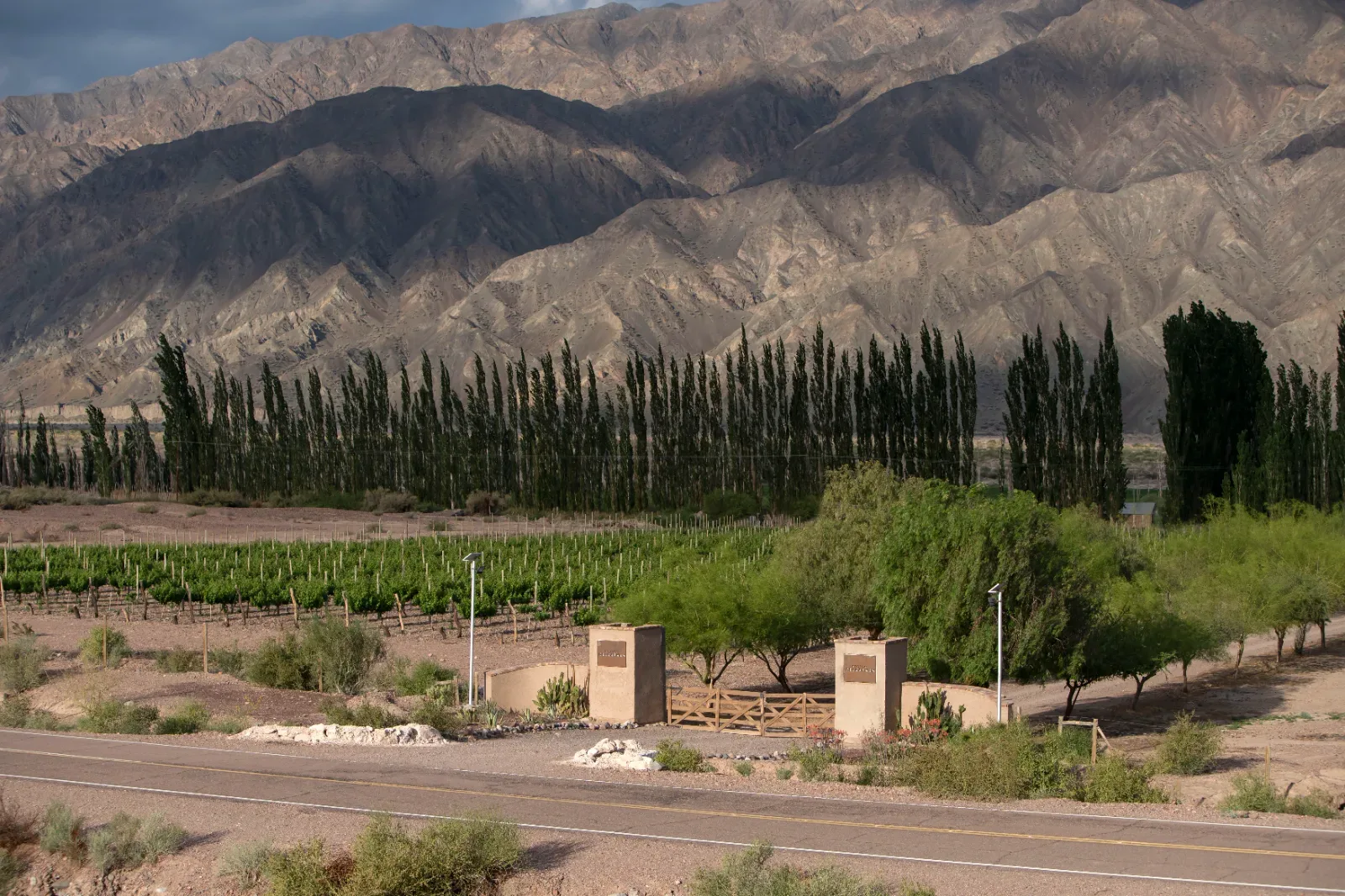 Bodegas del Carmen