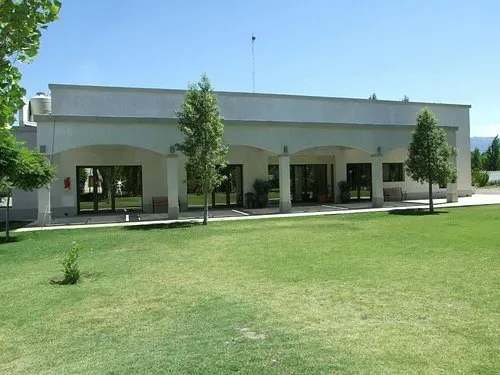 Olivos del Sol