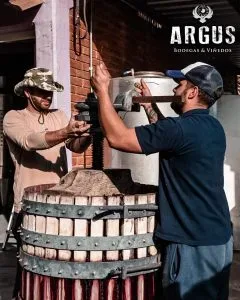Bodega y Vinedos Argus