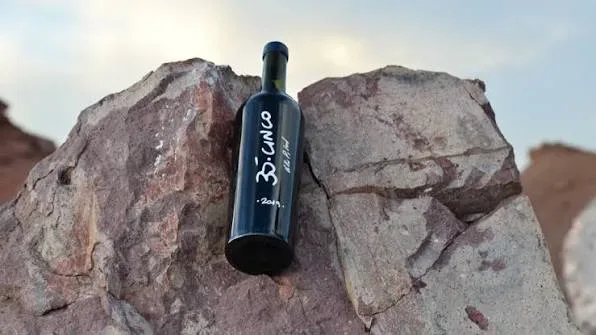 35 Cinco Vinos