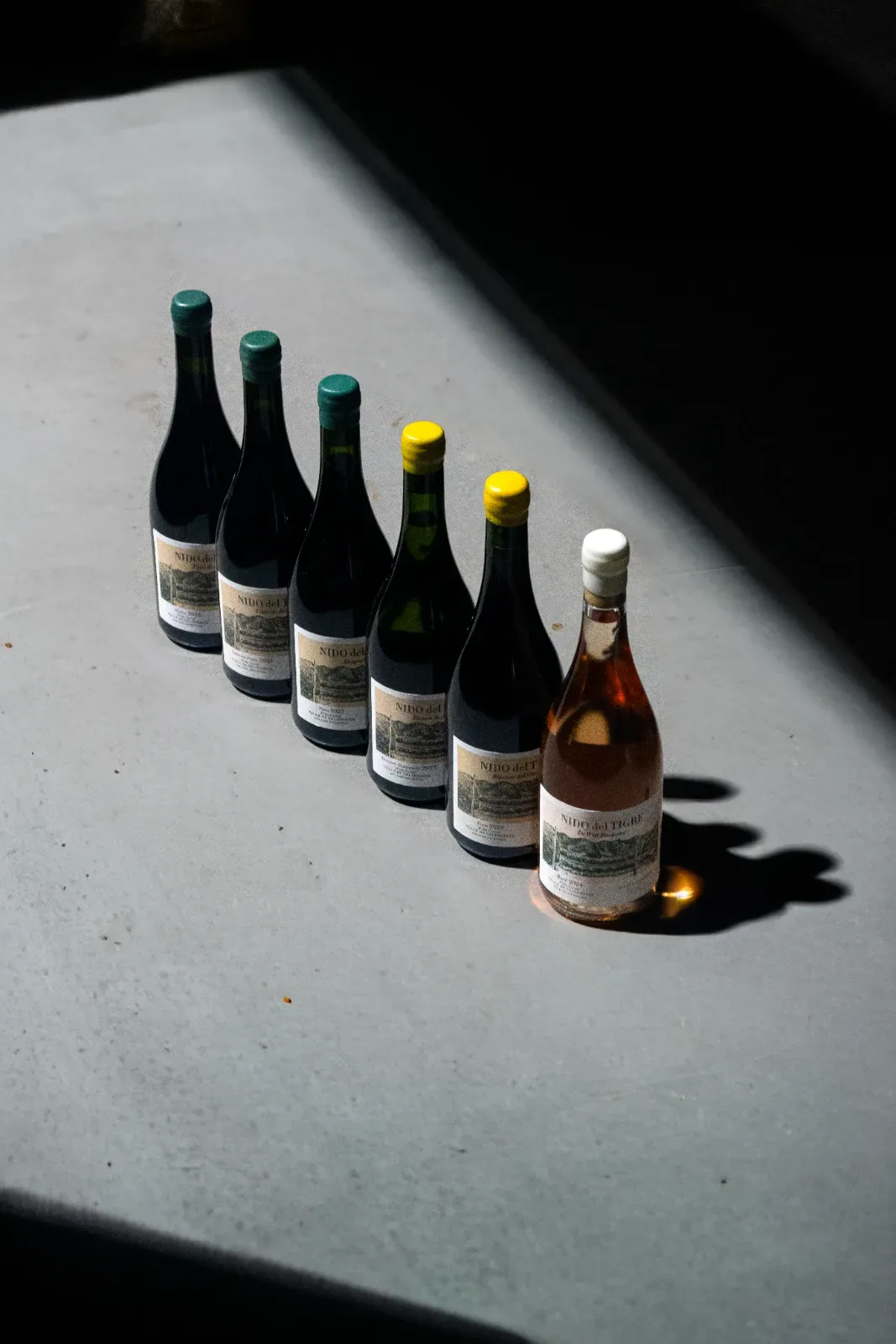 Bodegas del Carmen
