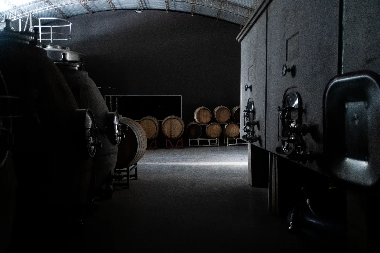 Bodegas del Carmen